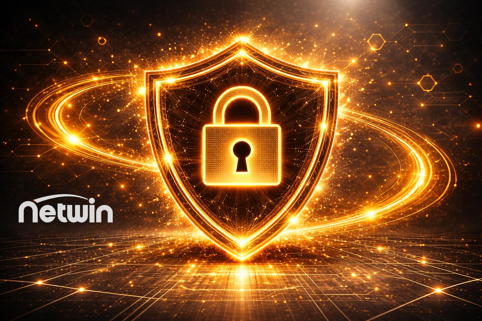 Sicurezza e legalità di Netwin Casino